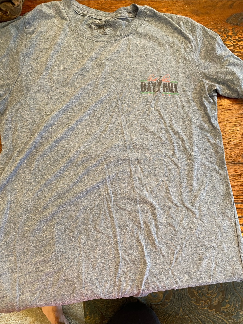 Men's Gray Logo T-Shirt